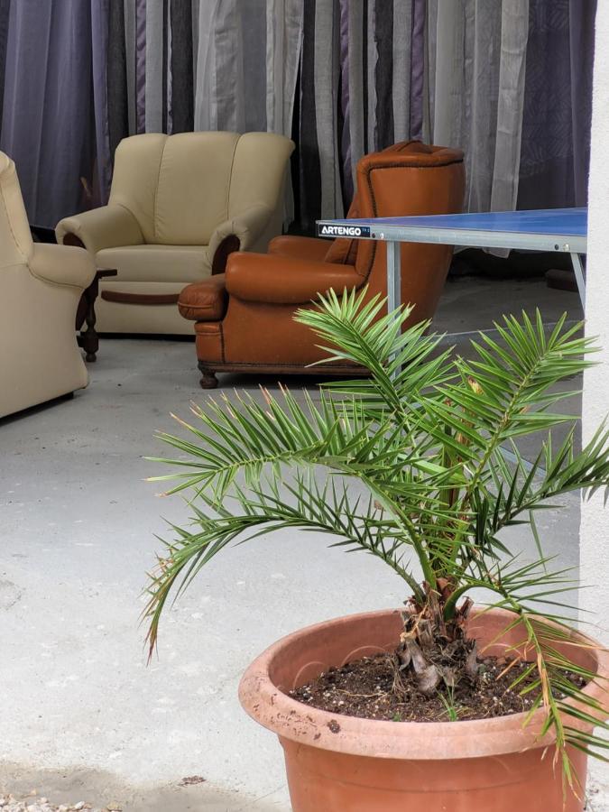 Studio Sequoia Au Pied Du Chateau โซมูร์ ภายนอก รูปภาพ